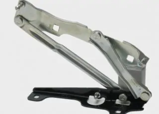 hinge1